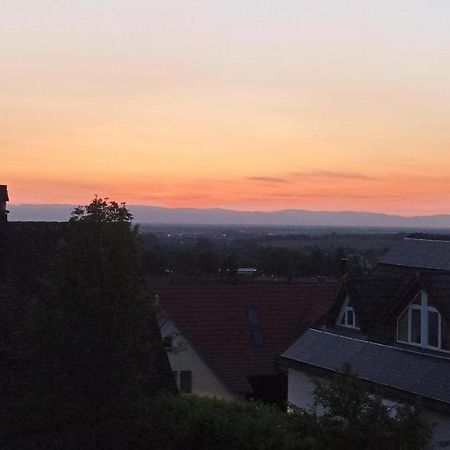 Ferienwohnung Vogesenblick Mullheim  Dış mekan fotoğraf