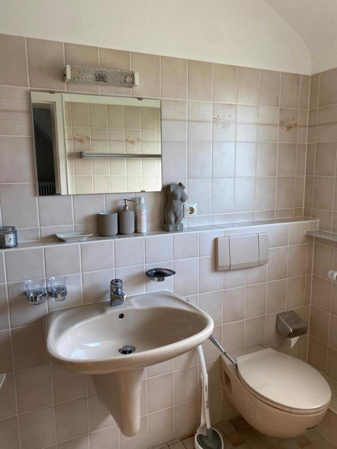 Ferienwohnung Vogesenblick Mullheim  Dış mekan fotoğraf