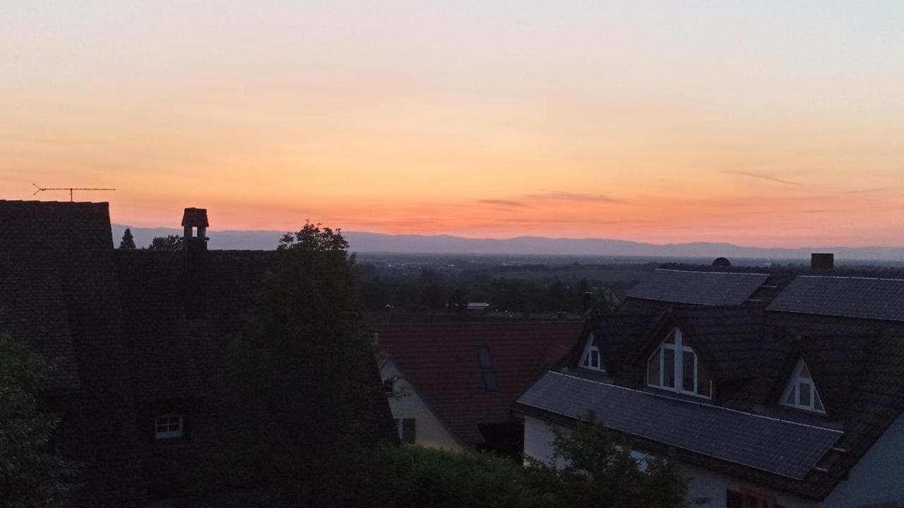 Ferienwohnung Vogesenblick Mullheim  Dış mekan fotoğraf